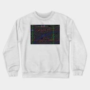 Xray Crewneck Sweatshirt